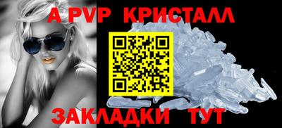 мдпв Кингисепп