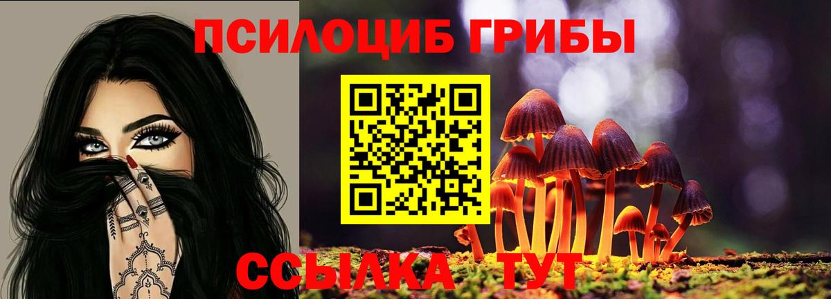 Галлюциногенные грибы Magic Shrooms  Вход с VPN  Краснокаменск  Галлюциногенные грибы GOLDEN TEACHER 